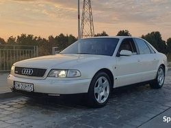 Biały Używany 1996 Audi A8 Exclusive Sedan/Limuzyna | 28 400 zł