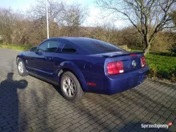 Używany 2008 Ford Mustang | 35 800 zł