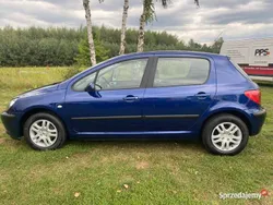 Niebieski Używany 2002 Peugeot 307 Hatchback | 8590 zł (Drogi)