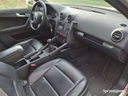 Biały Używany 2007 Audi A3 Ambition Hatchback | 16 400 zł (Uczciwa cena)