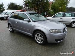 Szary Używany 2004 Audi A3 Hatchback | 12 900 zł (Drogi)