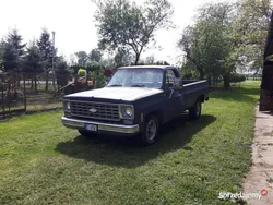 Używany 1975 Chevrolet C20 | 38 000 zł