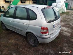 Używany 2001 Renault Scénic Minivan | 1200 zł (Uczciwa cena)