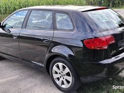 Używany 2007 Audi A3 Comfort | 14 900 zł (Dobra cena)