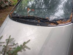Używany 2000 VW Sharan Minivan | 2200 zł (Super Cena)