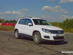 Biały Używany 2015 VW Tiguan SUV | 42 500 zł (Super Cena)