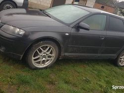 Używany 2008 Audi A3 | 20 000 zł