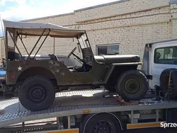 Używany 1950 Jeep Willys | 100 000 zł