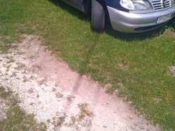 Używany 1998 Seat Alhambra Minivan | 2800 zł