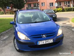 Używany 2003 Peugeot 307 Kombi | 4750 zł (Dość drogi)