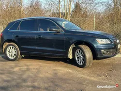 Granatowy Używany 2010 Audi Q5 SUV | 44 900 zł (Dość drogi)