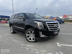 Czarny (metalik) Używany 2020 Cadillac Escalade SUV | 328 800 zł