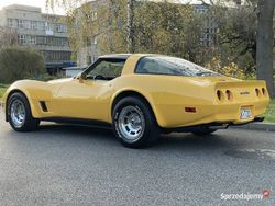 Używany 1981 Corvette Stingray | 119 000 zł