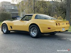 Używany 1981 Corvette Stingray | 119 000 zł