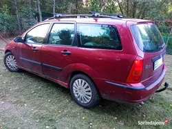 Używany 2002 Ford Focus | 1800 zł