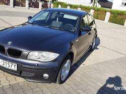 Szary Używany 2004 BMW 116 Hatchback | 14 300 zł (Dość drogi)