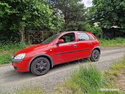 Używany 2002 Opel Corsa | 1600 zł (Dobra cena)