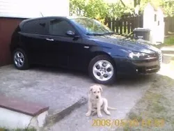 Inny kolor Używany 2007 Alfa Romeo 147 Hatchback | 1450 zł