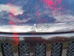 Czarny Używany 2010 Jeep Patriot Limited SUV | 39 700 zł