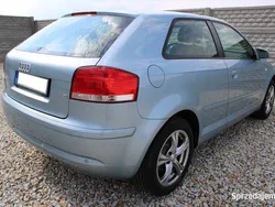 Używany 2005 Audi A3 | 13 500 zł (Uczciwa cena)