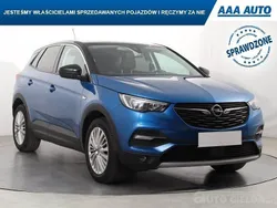 Błękitny Używany 2019 Opel Grandland X SUV | 59 999 zł (Uczciwa cena)