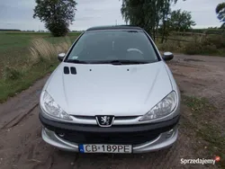 Używany 2002 Peugeot 206 | 3500 zł (Uczciwa cena)