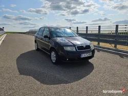 Czarny Używany 2006 Skoda Fabia Celebration Hatchback | 8000 zł (Uczciwa cena)