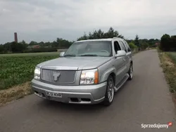 Używany 2002 Cadillac Escalade SUV | 39 999 zł