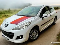 Używany 2010 Peugeot 207 Van | 9000 zł (Uczciwa cena)