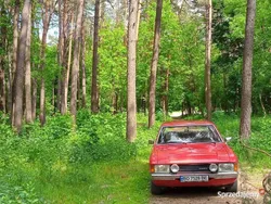 Używany 1977 Ford Granada | 28 000 zł