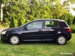 Używany 2005 VW Golf IV | 11 900 zł (Drogi)