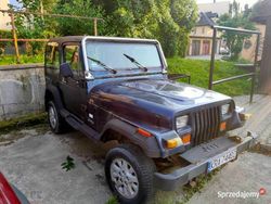 Używany 1995 Jeep Wrangler SUV | 24 500 zł