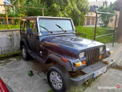 Używany 1995 Jeep Wrangler SUV | 24 500 zł