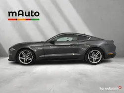 Szary Używany 2018 Ford Mustang GT Fastback Coupe | 174 900 zł (Uczciwa cena)