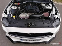 Biały Używany 2019 Ford Mustang Kabriolet | 109 000 zł
