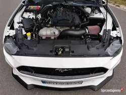Biały Używany 2019 Ford Mustang Kabriolet | 109 000 zł