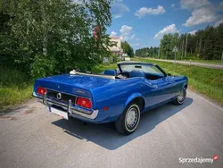 Używany 1971 Ford Mustang Kabriolet | 89 000 zł