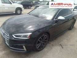 Czarny Używany 2019 Audi S5 Premium Plus Coupe | 129 000 zł