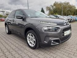 Szary Używany 2020 Citroën C4 Cactus PureTech Hatchback | 44 900 zł (Uczciwa cena)