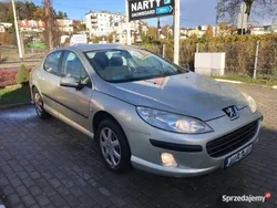 Używany 2007 Peugeot 407 | 8800 zł