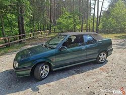 Zielony Używany 1993 Renault 19 Kabriolet | 7500 zł
