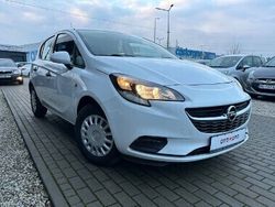 Inny kolor Używany 2015 Opel Corsa Hatchback | 29 900 zł (Dość drogi)