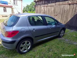 Używany 2004 Peugeot 307 | 5500 zł (Dość drogi)