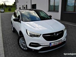 Biały Używany 2018 Opel Grandland X SUV | 53 900 zł (Drogi)