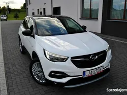 Biały Używany 2018 Opel Grandland X SUV | 53 900 zł (Dość drogi)