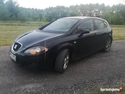 Używany 2008 Seat Leon | 8000 zł (Uczciwa cena)