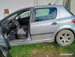 Używany 2002 Peugeot 307 | 2300 zł