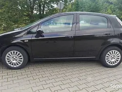 Brązowy Używany 2010 Fiat Punto Evo Hatchback | 13 900 zł (Uczciwa cena)