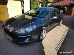Niebieski Używany 2004 Peugeot 407 Sedan/Limuzyna | 6900 zł (Dość drogi)