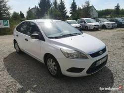 Biały Używany 2009 Ford Focus Hatchback | 8199 zł (Dobra cena)